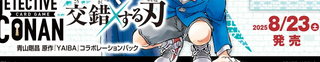 Case-Booster 06 交錯する刃