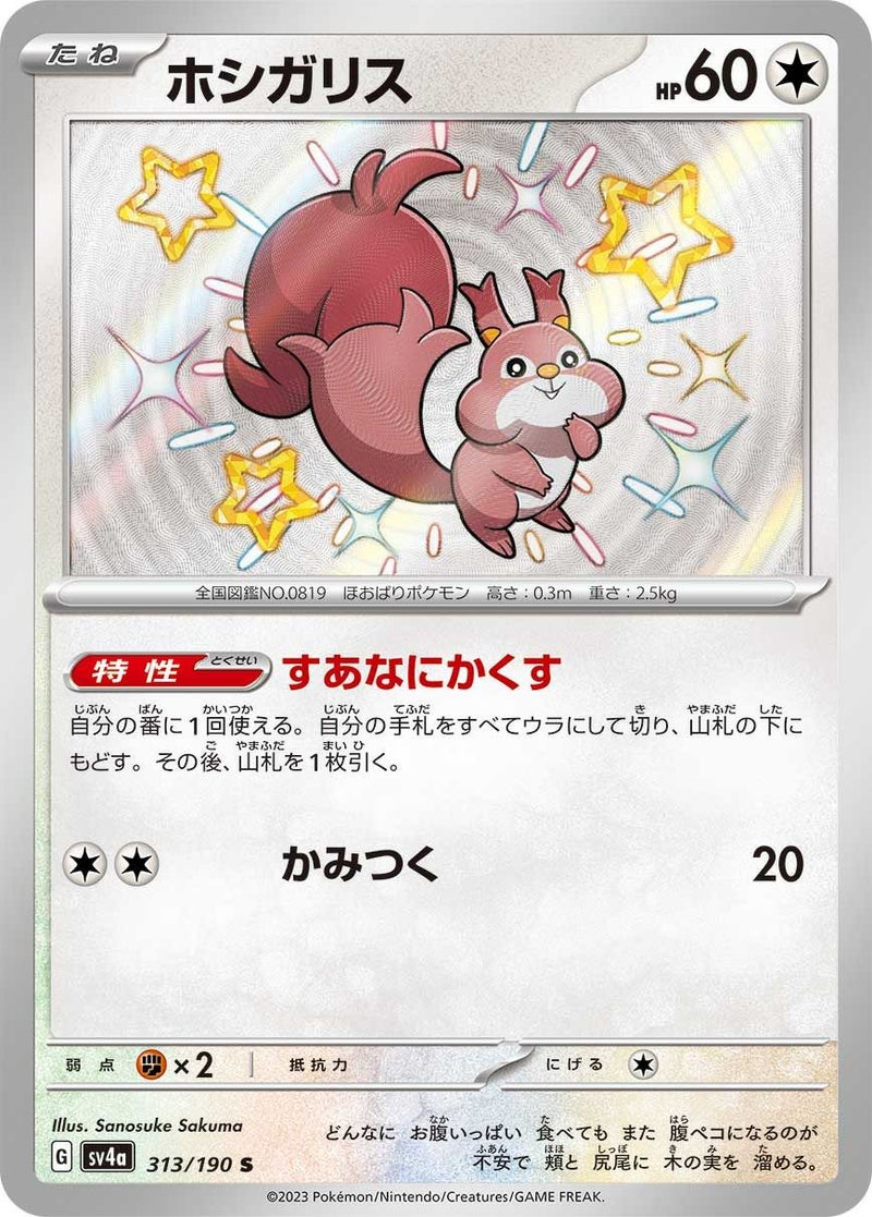 ホシガリス(313/190)[S]