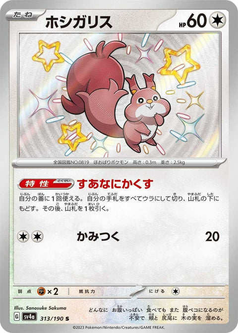 ホシガリス(313/190)[S]