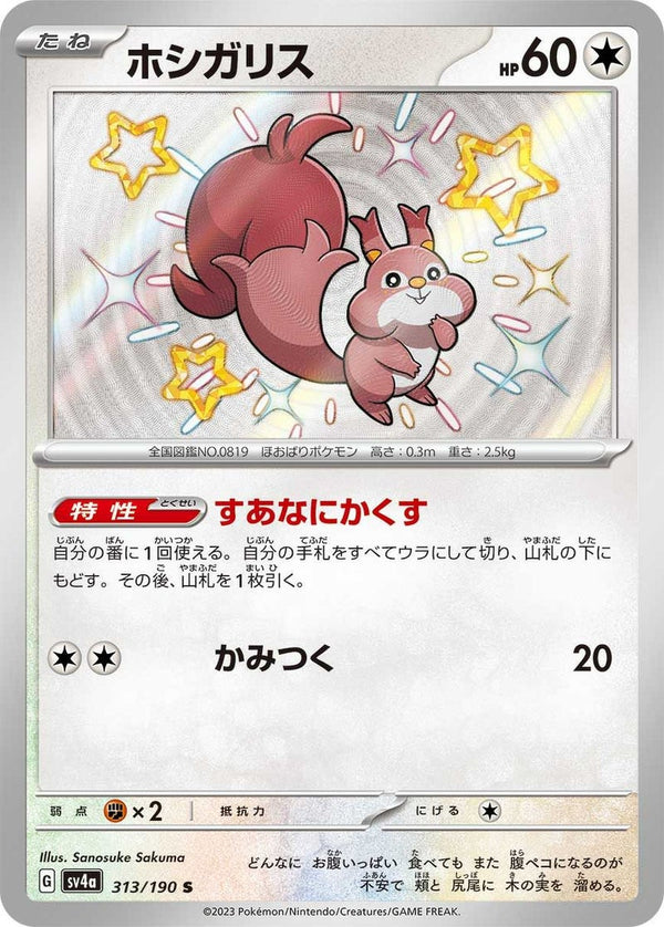 ホシガリス(313/190)[S]