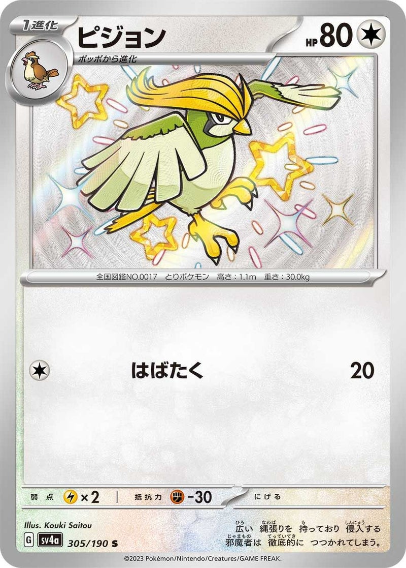 ピジョン(305/190)[S]