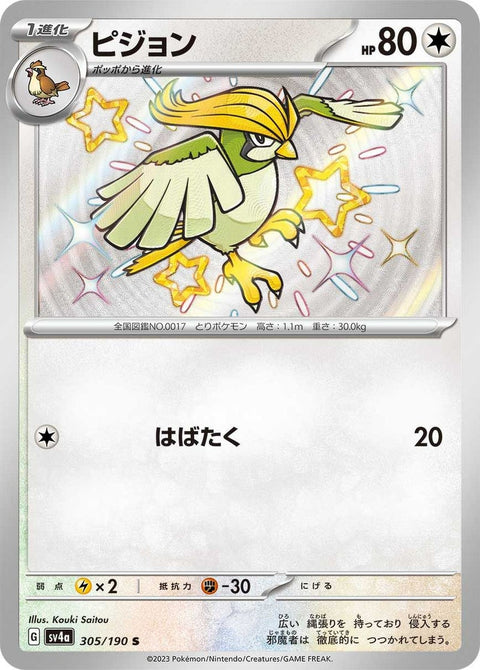 ピジョン(305/190)[S]