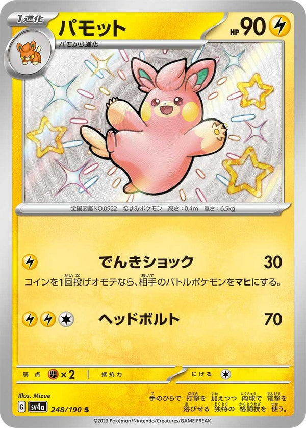 パモット(248/190)[S]