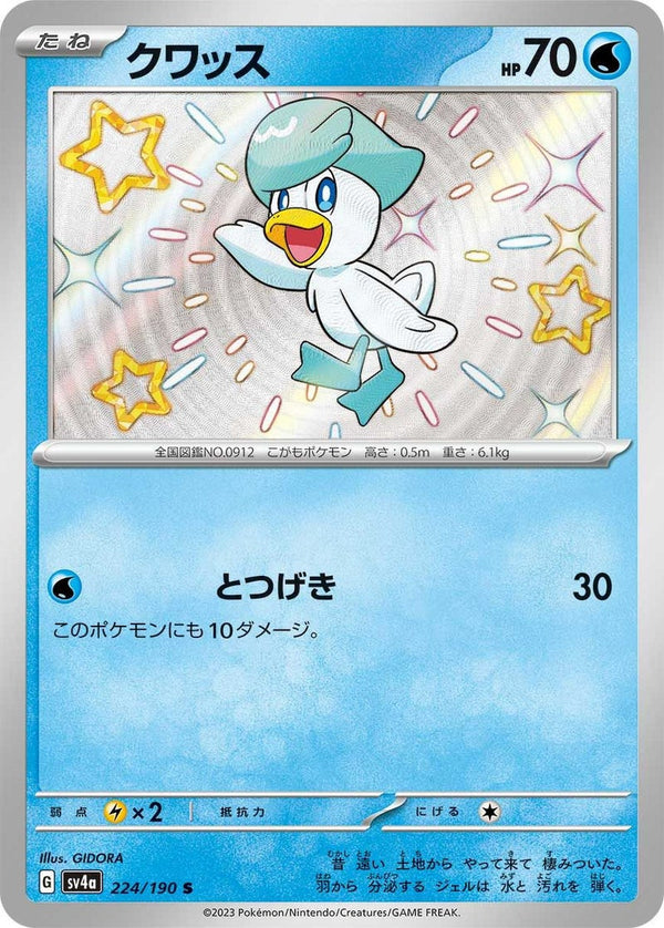 クワッス(224/190)[S]