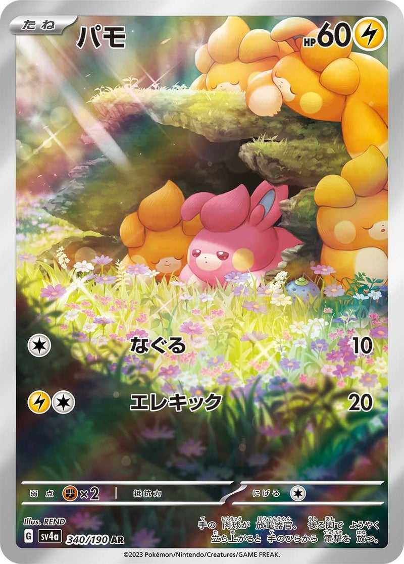 パモ(340/190)[AR]