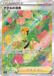 ナタネの活気(243/172)[SAR]