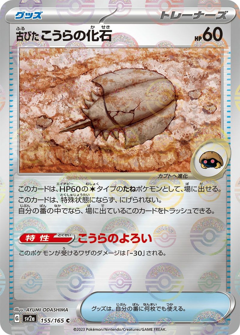 【SALE】古びたこうらの化石[c]
