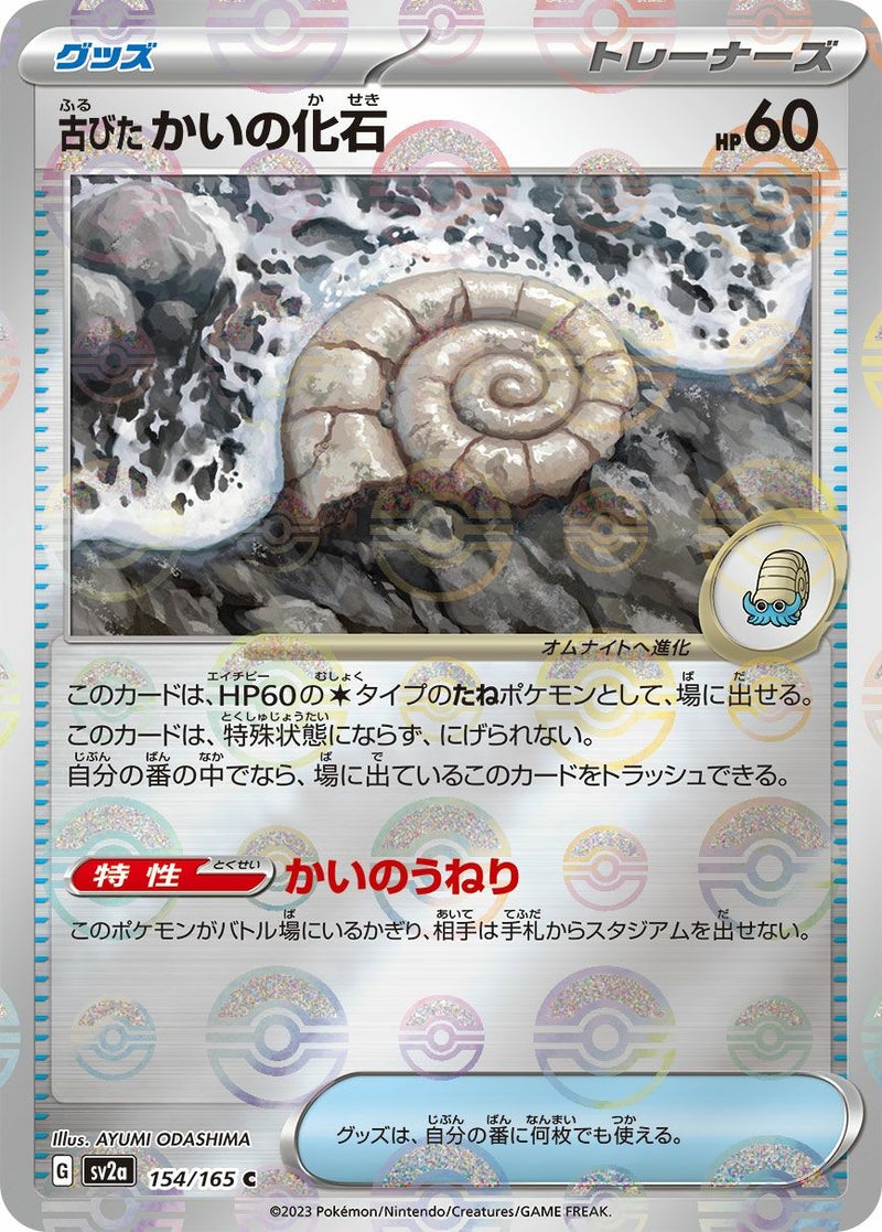 【SALE】古びたかいの化石[c]