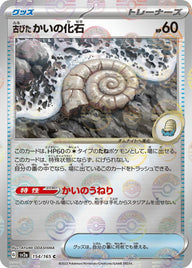 【SALE】古びたかいの化石[c]