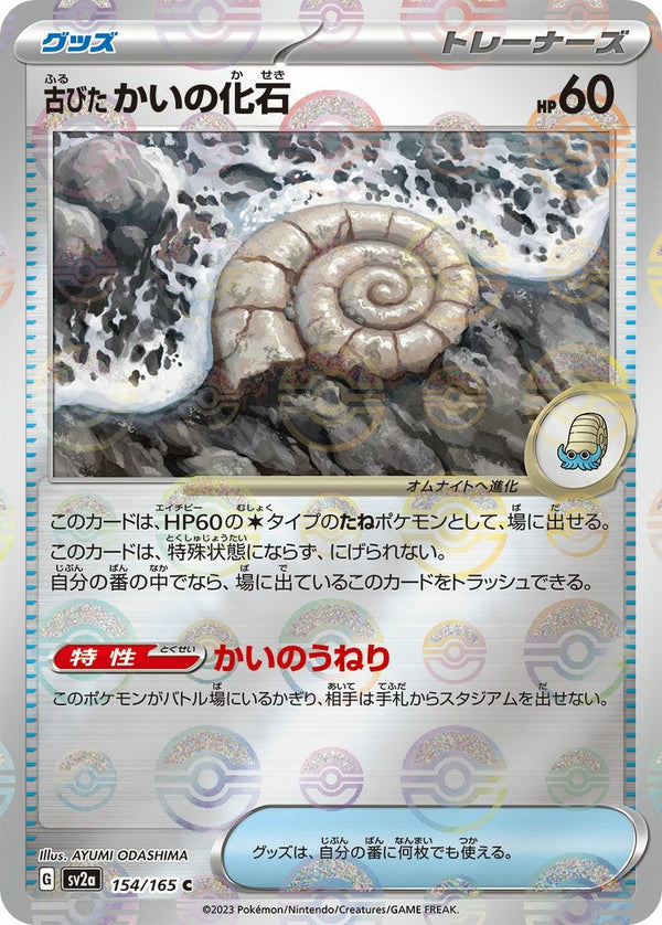 【SALE】古びたかいの化石[c]