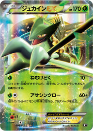 ジュカインEX(006/171)[RR]