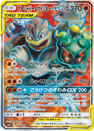 マーシャドー&カイリキーGX(100/095)[SR]