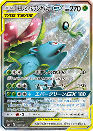 セレビィ&フシギバナGX(097/095)[SA]