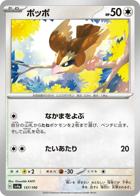 ポッポ(137/190)[-]