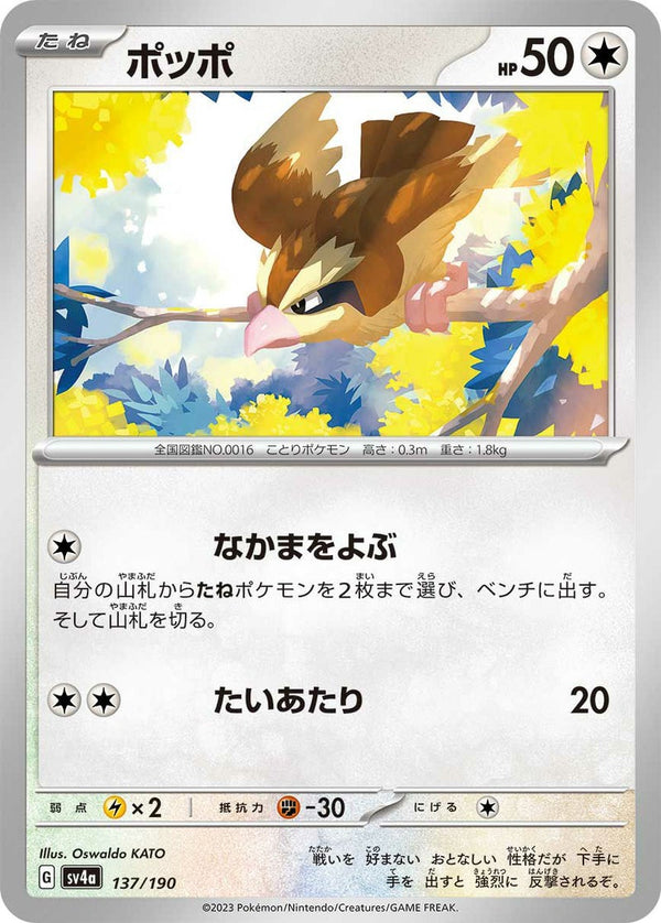 ポッポ(137/190)[-]