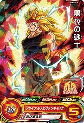 黒衣の戦士(PUMS14-31)[P]