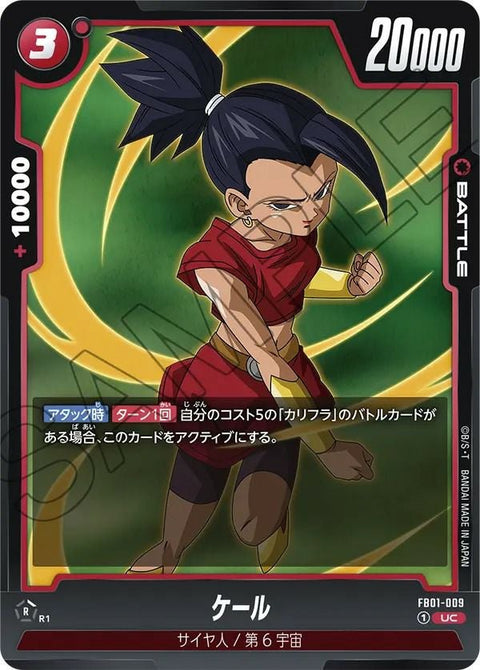 ケール(FB01-009)[UC]