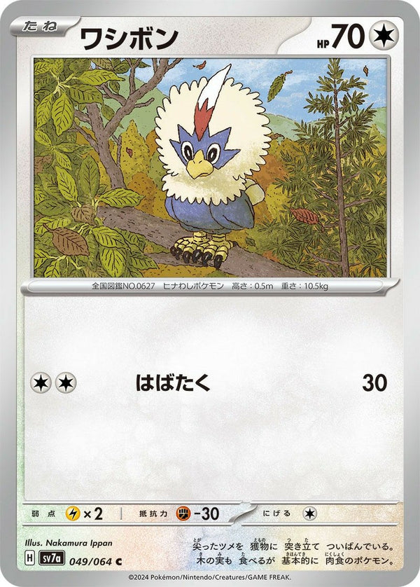 ワシボン[C](049/064)