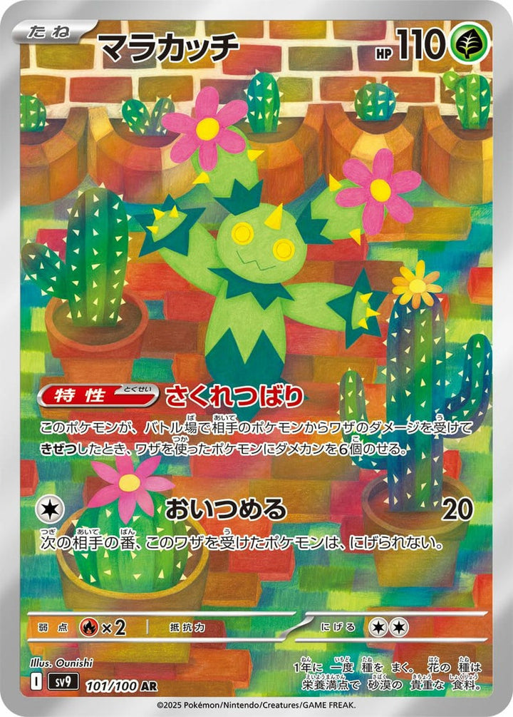 マラカッチ(101/100)[AR]
