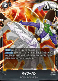 パイクーハン(FB05-107)[SR]