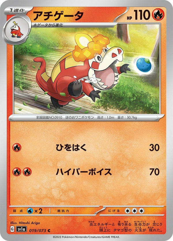 アチゲータ(019/073)[C]