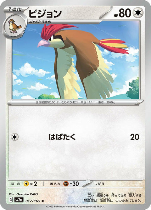 ピジョン(017/165)[C]