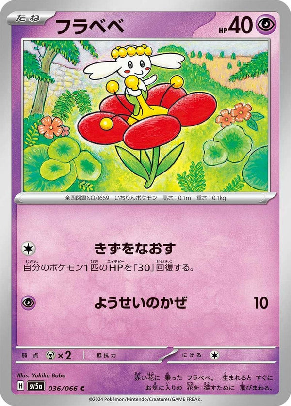 フラベベ(036/066)[C]
