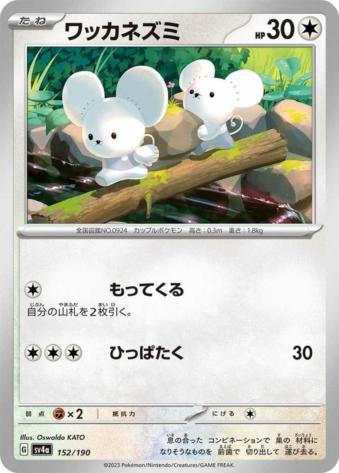 ワッカネズミ(152/190)[-]