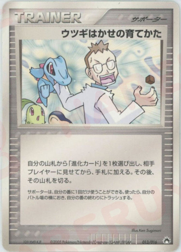 ウツギはかせの育てかた:バクフーン(013/016)[D]【PCGシリーズ】