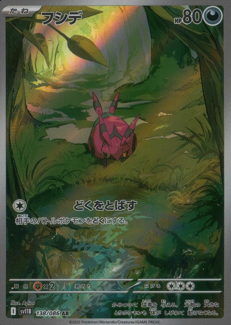 フシデ(138/086)[AR]