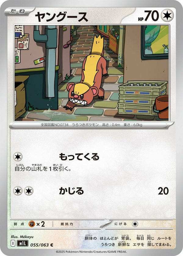 ヤングース(055/063)[C]