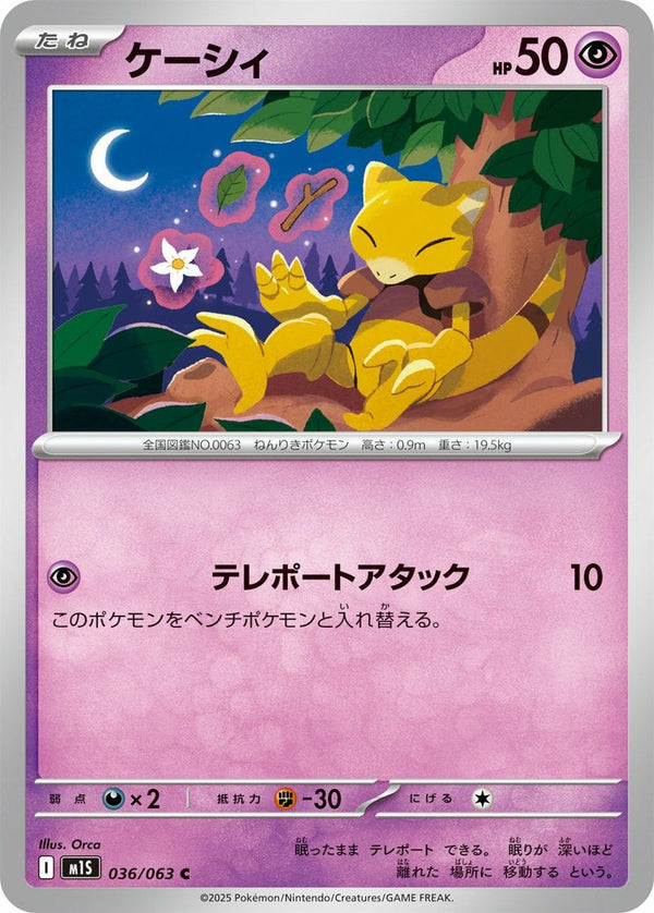 【SALE】ケーシィ[C]