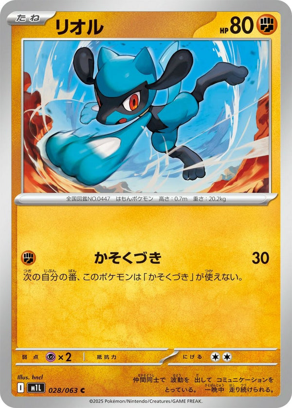 【SALE】リオル[C]