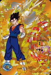 ベジット(HG10-CP6)[CP]