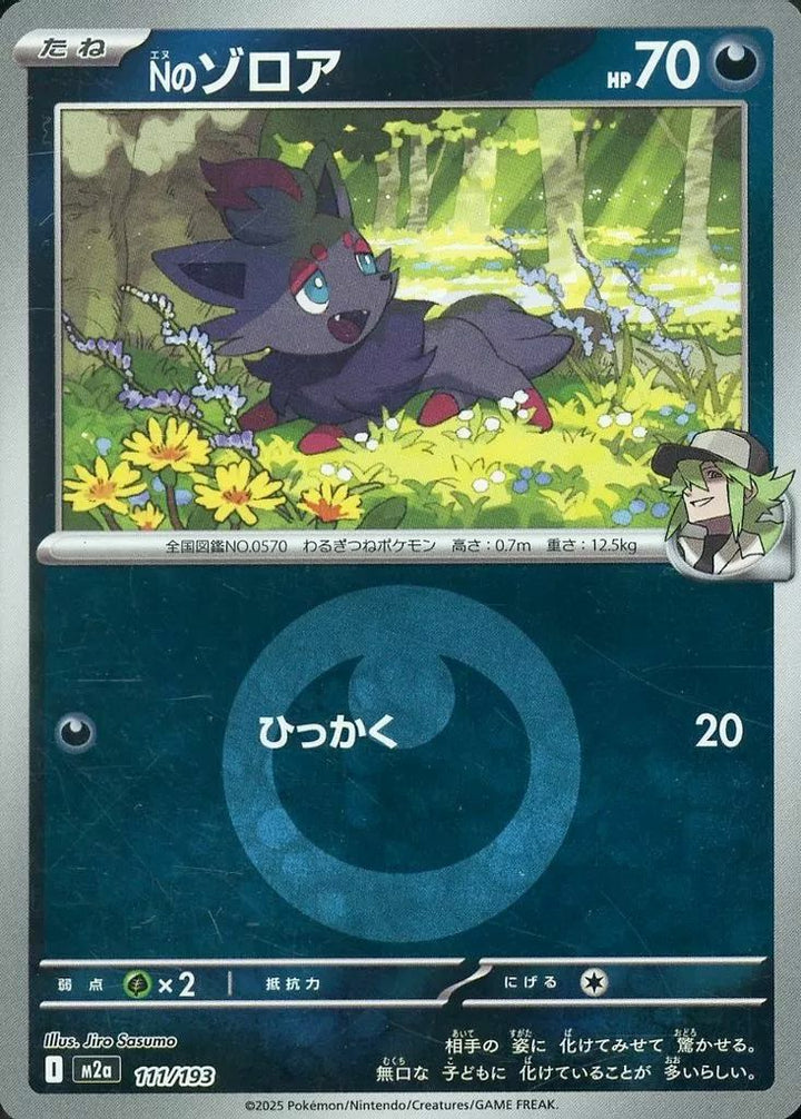 Nのゾロア(悪エネルギーミラー)(111/193)[C(コモン)]