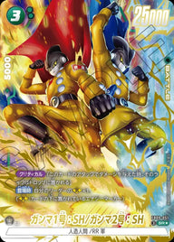 ガンマ1号:SH/ガンマ2号:SH(FB09-051)[SR☆]