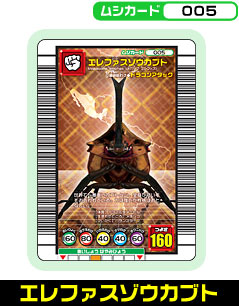 エレファスゾウカブト（005）［銅レア］
