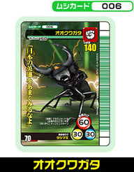 オオクワガタ（006）［未確定］