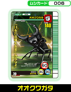 オオクワガタ（006）［未確定］