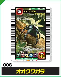 オオクワガタ（006）［未確定］