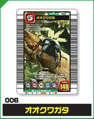 オオクワガタ（006）［未確定］
