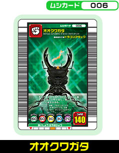 オオクワガタ（006）［未確定］