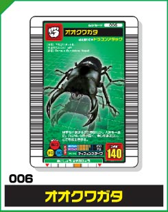 オオクワガタ（006）［未確定］