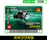 オオクワガタ（006）［未確定］