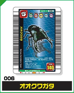 オオクワガタ（006）［未確定］