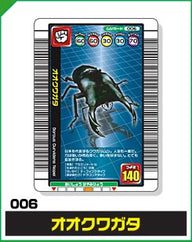 オオクワガタ（006）［未確定］