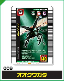 オオクワガタ（006）［未確定］
