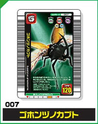 ゴホンヅノカブト（007）［未確定］