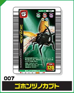 ゴホンヅノカブト（007）［未確定］