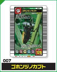 ゴホンヅノカブト（007）［未確定］